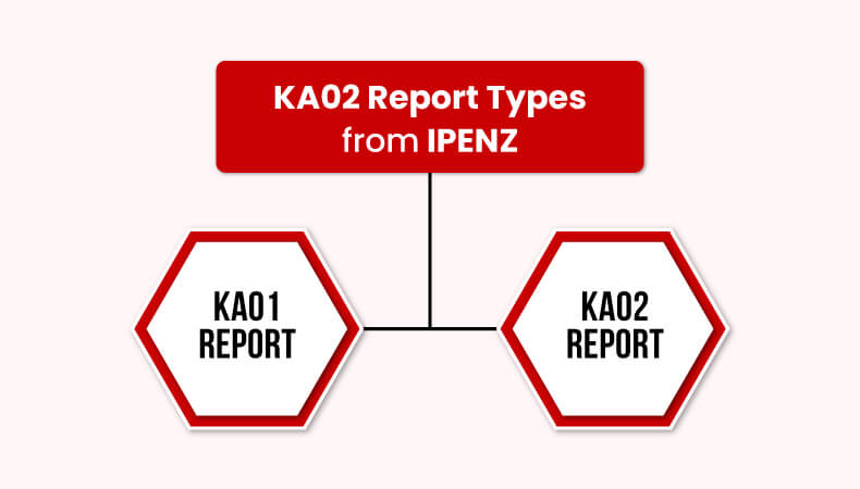 Types of KA02 report by IPENZ