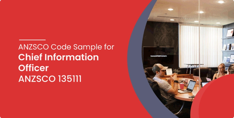 anzsco code sample for chief information officer anzsco 135111