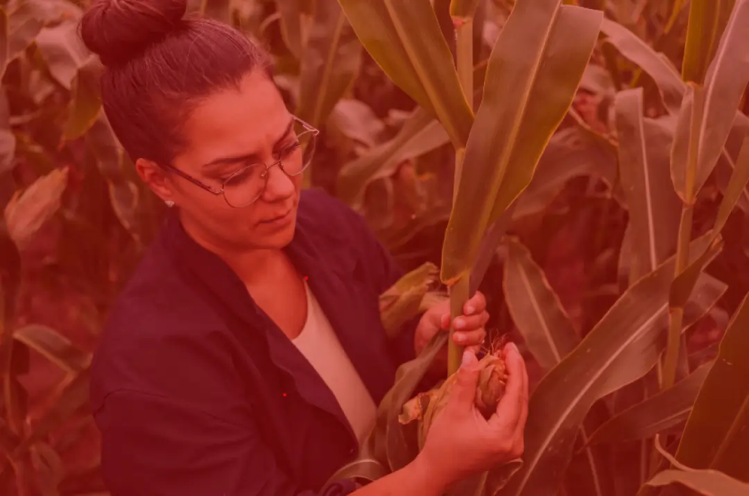 Agricultural Engineer