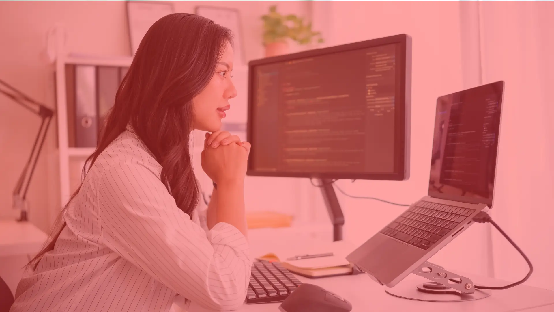 Analyst Programmer