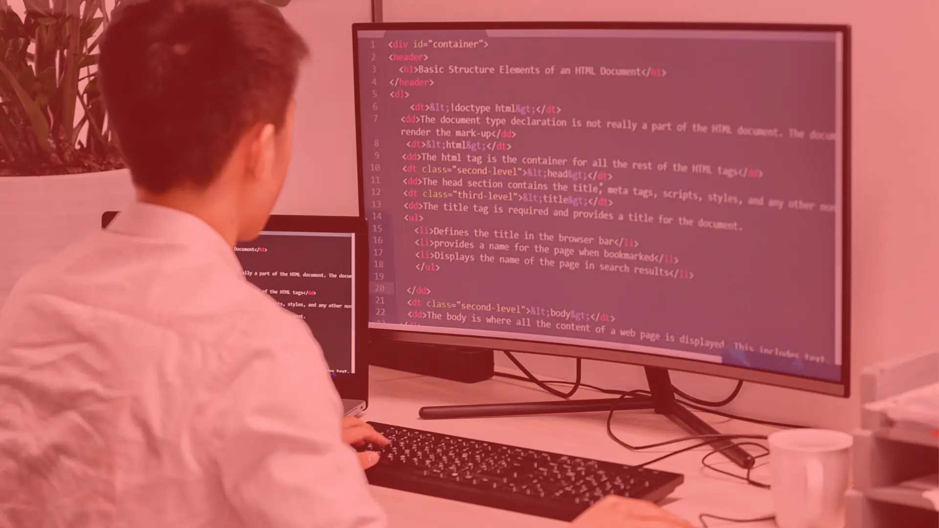 Web Administrator