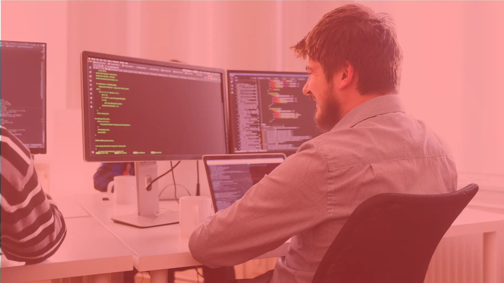 Web Developer